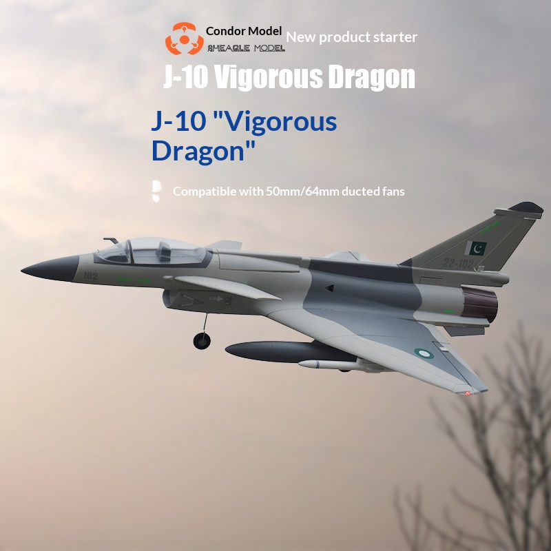 SH-EAGLE MODEL J-10 Krachtige  - Model Kit Dragon recensie en prijs