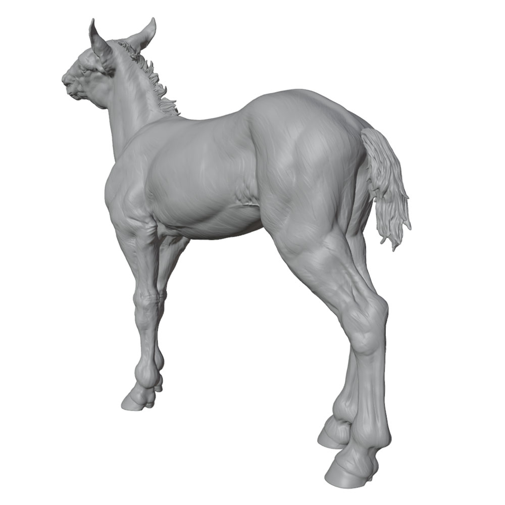 Zeer gedetailleerde print, rea - Model Kit Horse recensie en prijs