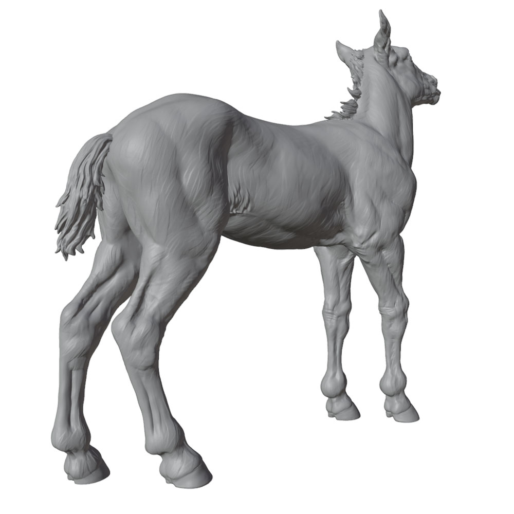 Zeer gedetailleerde print, rea - Model Kit Horse recensie en prijs