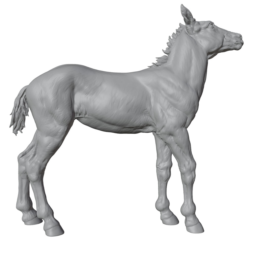 Zeer gedetailleerde print, rea - Model Kit Horse recensie en prijs